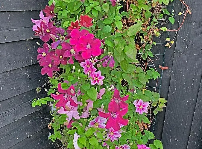 Christinahoeve Logies