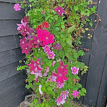 Christinahoeve Logies